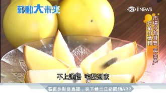 「黃金果」年銷40萬！前進南向市場