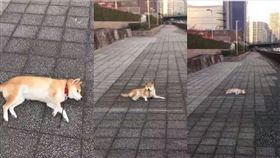 （圖／翻攝自@always_with_yu 推特）
