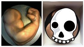 網購造型蛋糕慶生　打開一看竟收「死胎」
鏡報