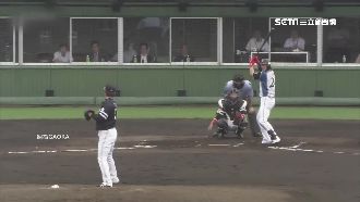 為跟兄同隊　陽岱鋼曾想棄3千萬合約