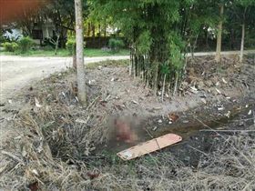 姦殺,泰國,翻攝BAABIN