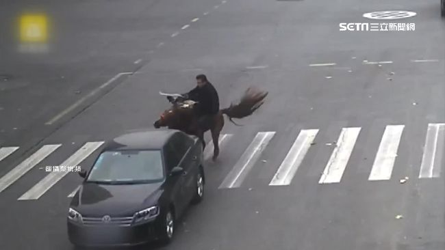 男騎馬奔馳闖紅燈　遭馬丟包慘摔送醫