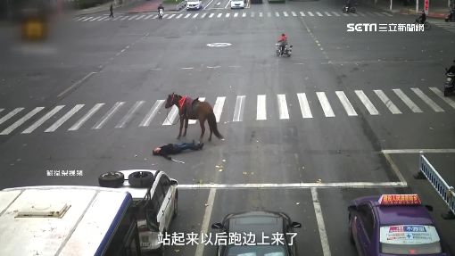 穿越劇? 陸男騎馬闖紅燈 撞車慘摔送醫