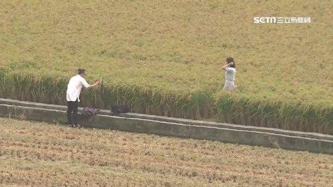 為拍照打卡踐踏農田　農民心血全沒了