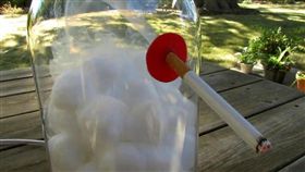 抽菸,實驗,棉花,吸菸,慢性自殺,科學,Chris Notap,菸,玻璃罩　圖／翻攝自YouTube https://goo.gl/9dx3rt