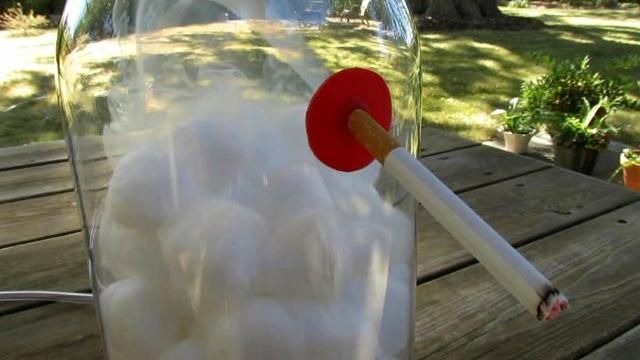 棉花肺經600隻菸洗禮！嚇壞網友
