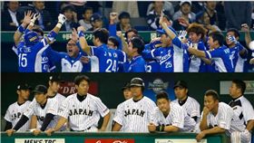 12強日本與韓國兩樣情（組圖／美聯社／達志影像）