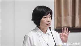 國發會主委陳美伶，經濟委員會 圖／記者林敬旻攝