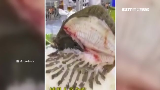陸瘋吃活海鮮　魚嘴動「肉早送進肚」