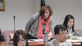 民進黨立委、衛環委員會召委林靜儀 圖／記者林敬旻攝
