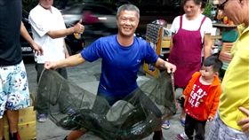 有釣客在大甲溪抓魚時，意外抓到一條重約38台斤的大尾鱸鰻，就連行腳節目主持人沈文程巧遇看到都直呼，「阿娘喂！」最後釣客則聽老婆建議，決定將這條鱸鰻放生，讓牠重回大自然。（圖／翻攝自沈文程臉書）