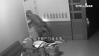 囂張賊開燈行竊　與屋主對視駕車急逃