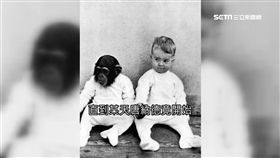 猩猩.幼子一起養! 心理學家親生兒