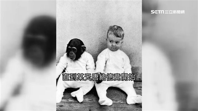 猩猩、幼子一起養！孩童竟「獸化」