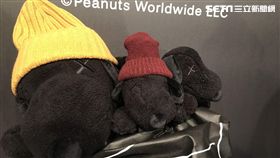 說明 UNIQLO,優衣庫,SNOOPY。（圖／記者馮珮汶攝）
