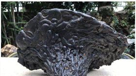 中國成都珠寶展出現「香格里拉隕石」被指是假的。（圖／翻攝漢豐網）