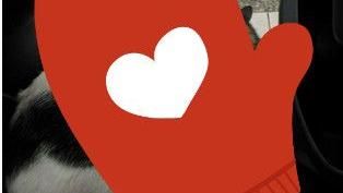 這樣抱好溫馨！喵星人閃瞎車主害QQ