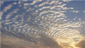 地震,芮氏規模,中央氣象局,氣象局,地牛翻身,餘震,地震雲　圖／翻攝自維基百科