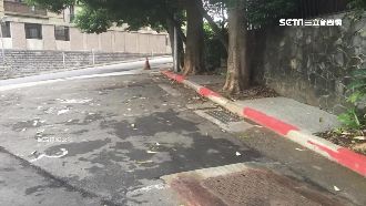 紅色虛線也開單？車主喊冤：不知道啊