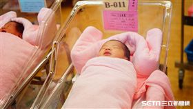 少子化,懷孕,凍卵,不孕,寶寶,分娩,孕婦（圖／記者李鴻典攝）