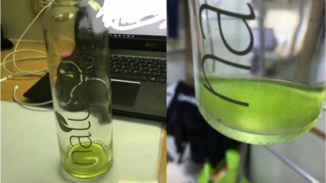 室友綠色水壺超美…真相卻讓人崩潰