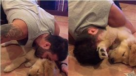 阿金,寵物,飼主,狗,汪星人,睡覺,黃金獵犬　圖／翻攝自ＩＧ