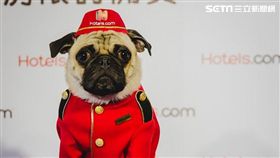 Hotels.com全新品牌大使發表會,雀客旅館主題房。（圖／hotels.com提供）