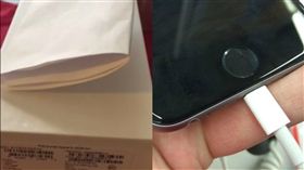 感恩節,黑色星期五,詐騙,iPhone,i6,馬鈴薯（圖／翻攝自《太陽報》）