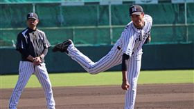 藤浪晉太郎。（圖／翻攝自阪神推特）