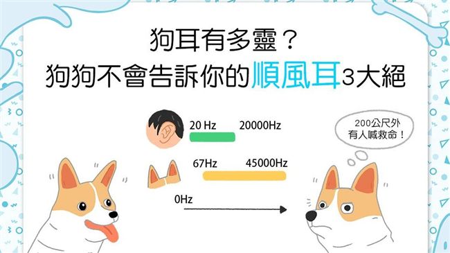 到家前就奔門口！狗狗順風耳3大秘密