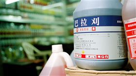 農藥,功課,寫字,父母,教育,自殺,煩惱,服毒,字醜,重寫,催吐,劇毒　圖／攝影者Lordcolus,flickr CC License https://goo.gl/3R4bQh 