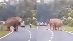 擅自下車合照！保全遭大象踐踏死亡　屍體成玩具踢來踢去
圖翻攝自每日郵報
https://www.youtube.com/watch?v=CU-rntRxrYY