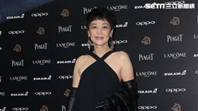 金馬54／紅毯／張艾嘉。（圖／記者邱榮吉攝影）