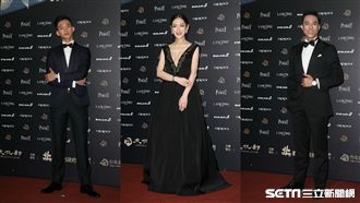 金馬紅毯黑壓壓！個人意見：像柏油路