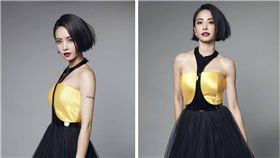 金馬獎,金馬54,表演,蔡依林,鳳飛飛,鄧麗君,甄妮,蔡琴　圖／翻攝自蔡依林臉書