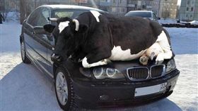 推特,警察,趣味,趣味圖片,Police Twitter Awards,Best International Account,Ben Gardner,美國,堪薩斯 圖／翻攝自Trooper Ben推特