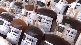 輸血袋紅茶18001