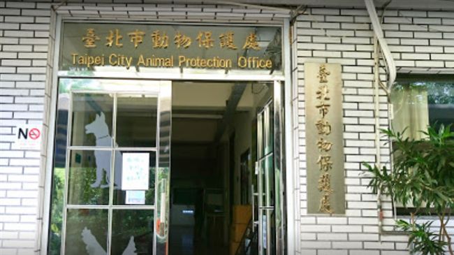 北市動保處濫殺無辜犬隻？市議員怒了