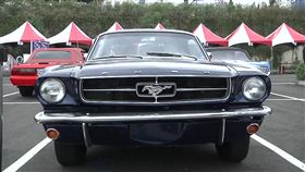  百輛「野馬」車聚會師　驚人！總市值破3億,彰化,超跑,車聚,名車,野馬跑車,變形金剛 野馬聚三億1800