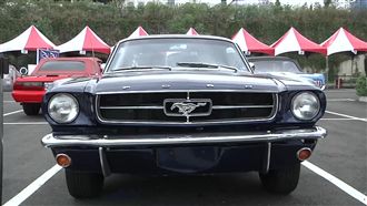 百輛「野馬」車聚會師　總市值破3億