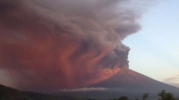 國人困峇里島　外交部安排至泗水機場