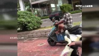 機車戴草帽！狂言「百張罰單也不繳」