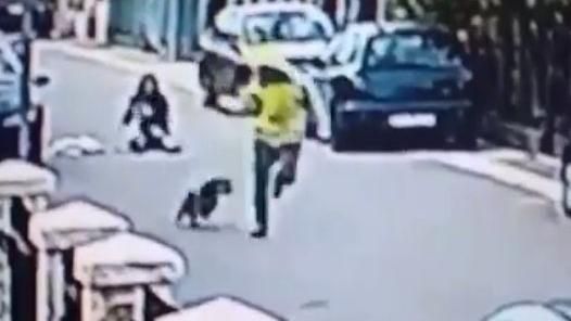 神勇狗狗狂咬歹徒屁股　搶匪嚇到狂奔