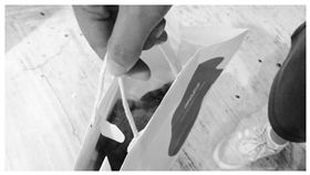 女學生幫助往生浪貓　求助教官卻被不屑譏諷：掛樹上就好！（圖／翻攝自爆怨公社）