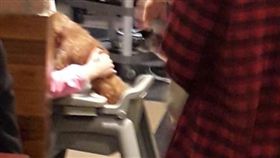 不少業者都會準備兒童餐椅，讓民眾放心帶小孩到餐廳用餐，但日前有網友看到有民眾讓毛小孩坐在寶寶專用餐椅上，讓他直呼「太誇張」也掀起其他網友議論紛紛。（圖／翻攝自新竹爆料公社）