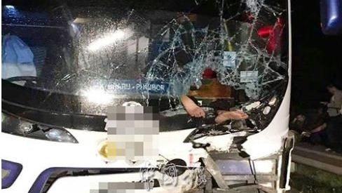 騎士和巴士相撞　衝破擋風玻璃慘死