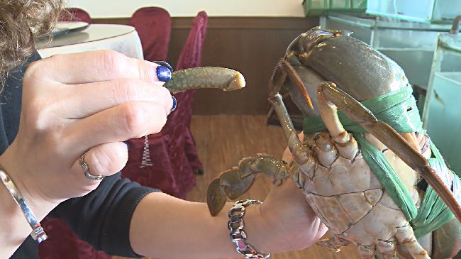 遭控拿冷凍蟹調包活蟹　店家不道歉