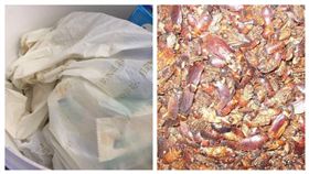 嚇到吃手手！老夫婦帶一桶蟑螂搭飛機　安檢員當場驚哭
圖／翻攝自中國民用航空網