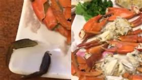 螃蟹
圖翻攝自爆料公社
https://www.facebook.com/permalink.php?story_fbid=1397589627036115&id=100003552734481