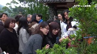 三千年才開一次！罕見優曇婆羅花再現